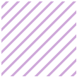 alphasearchusa2