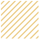 alphasearchusa2